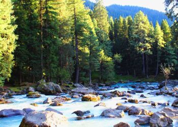 Pahalgam Tourism, Karan Nagar, Srinagar