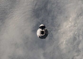 Space-Grown Tomatoes to Reach Earth Today by SpaceX Cargo Dragon